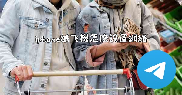 iphone纸飞機怎麼設置網絡