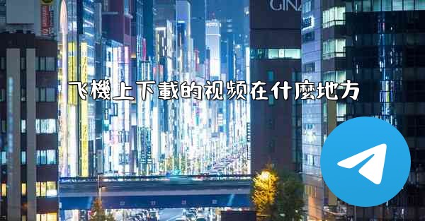 飞機上下載的视频在什麼地方