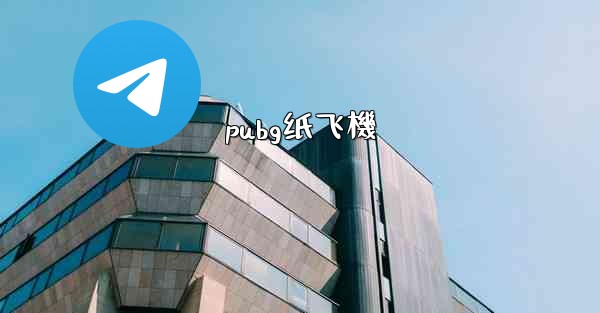 pubg纸飞機