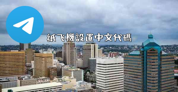 纸飞機設置中文代碼