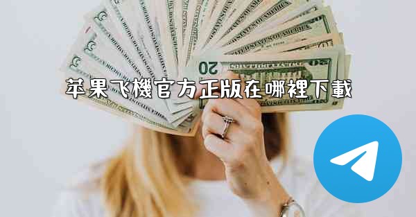 苹果飞機官方正版在哪裡下載