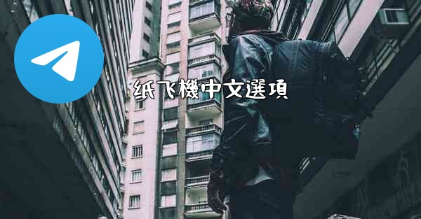 纸飞機中文選項