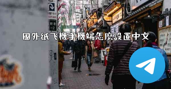 國外纸飞機手機端怎麼設置中文