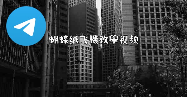 蝴蝶纸飞機教學视频