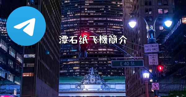 潭石纸飞機簡介