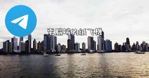 電腦端的纸飞機