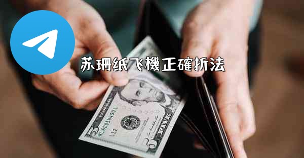 苏珊纸飞機正確折法