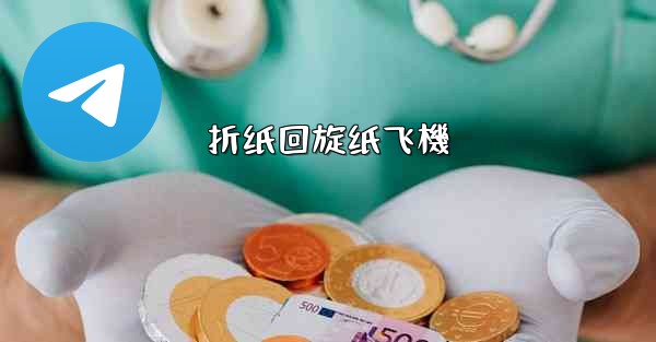 <b>折纸回旋纸飞機</b>