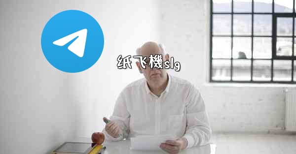 纸飞機slg