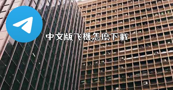 中文版飞機怎麼下載