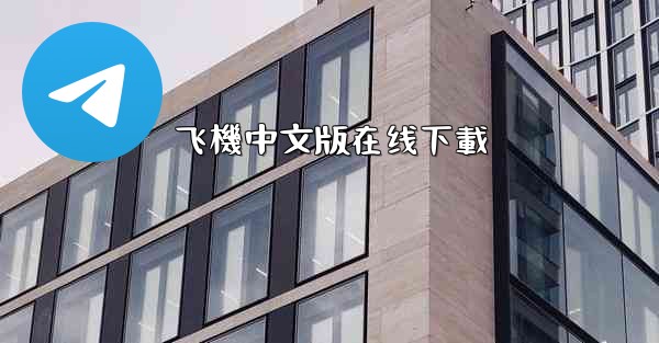 飞機中文版在线下載
