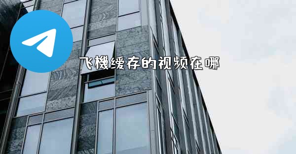 飞機缓存的视频在哪