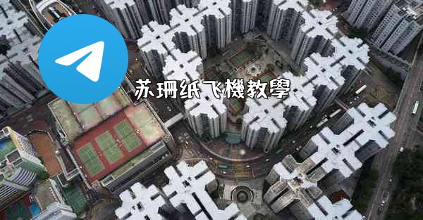 苏珊纸飞機教學