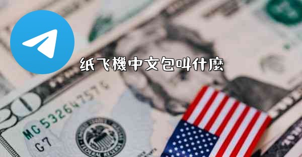 纸飞機中文包叫什麼