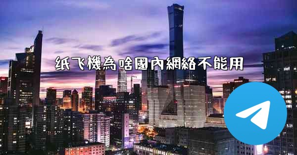 纸飞機為啥國內網絡不能用