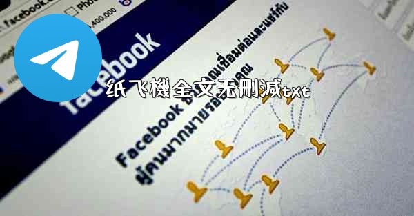 纸飞機全文无刪減txt