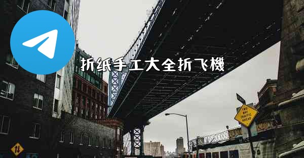 <b>折纸手工大全折飞機</b>