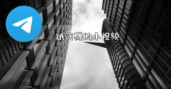 叠纸飞機的小视频