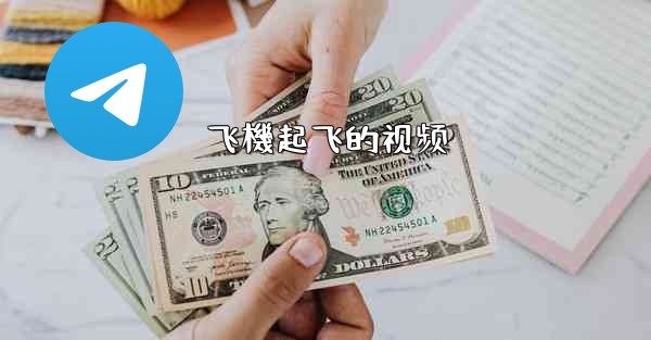 飞機起飞的视频