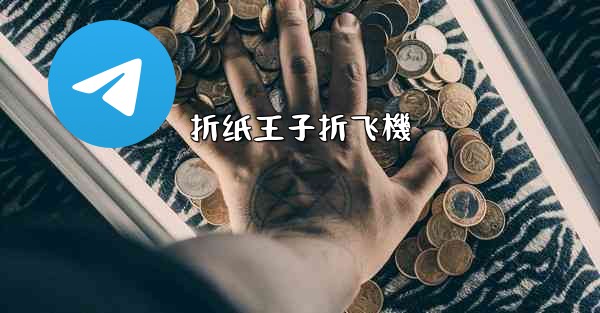 <b>折纸王子折飞機</b>