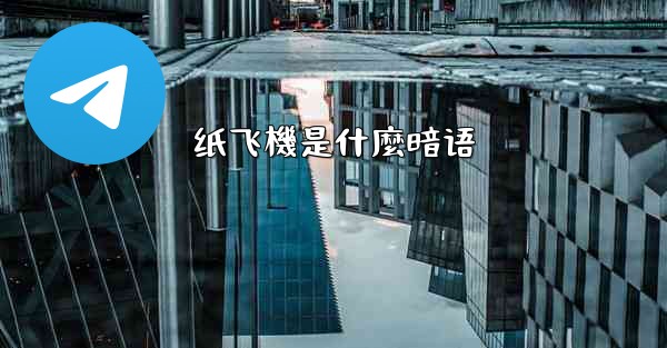 纸飞機是什麼暗语