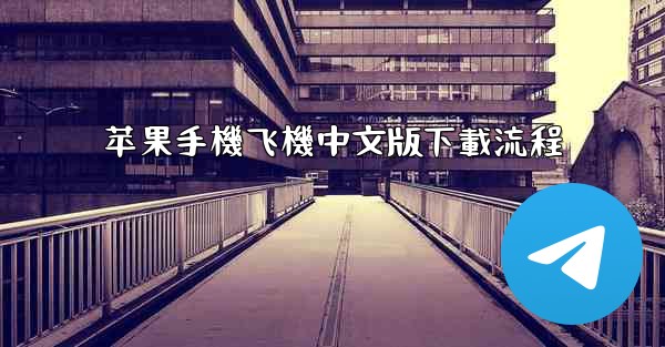 苹果手機飞機中文版下載流程