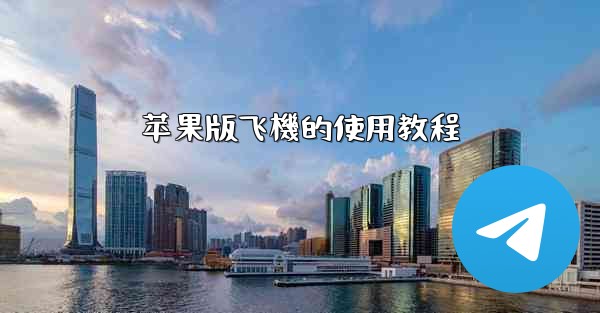 苹果版飞機的使用教程