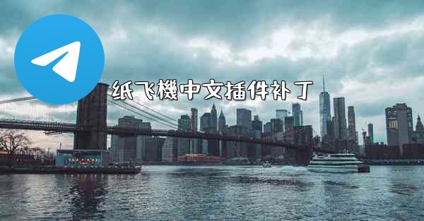 纸飞機中文插件补丁