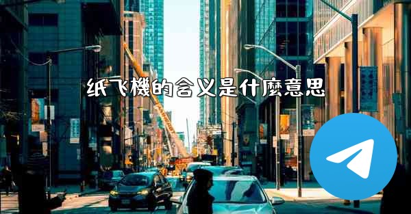 <b>纸飞機的含义是什麼意思</b>