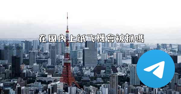 在國內上纸飞機會被抓嗎