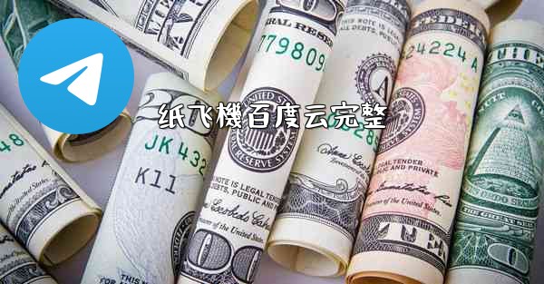 纸飞機百度云完整