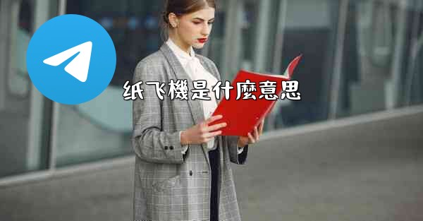 纸飞機是什麼意思