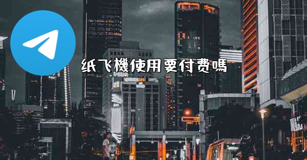 纸飞機使用要付费嗎