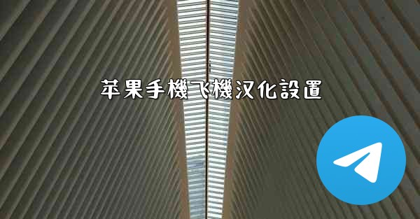 苹果手機飞機汉化設置