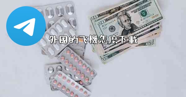 外國的飞機怎麼下載