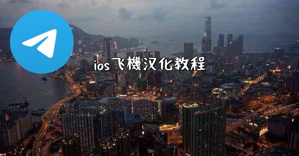 <b>ios飞機汉化教程</b>