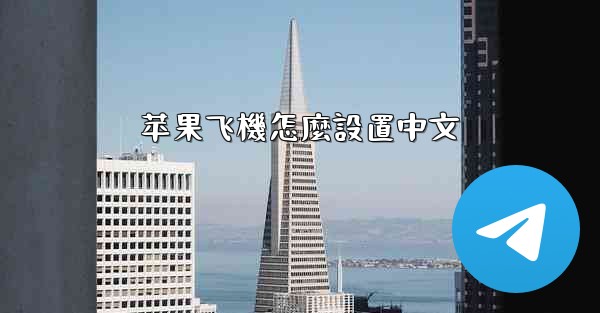 苹果飞機怎麼設置中文