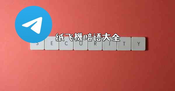 纸飞機暗语大全