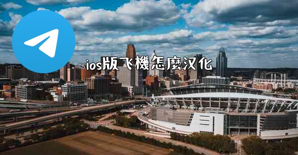 ios版飞機怎麼汉化