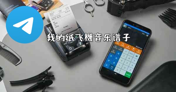 <b>我的纸飞機音乐谱子</b>