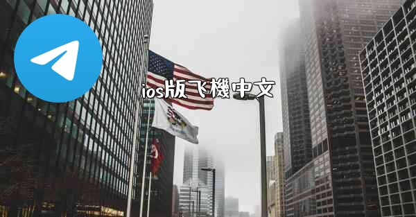 ios版飞機中文