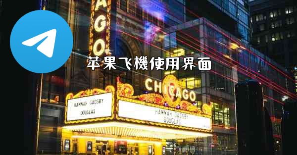 苹果飞機使用界面