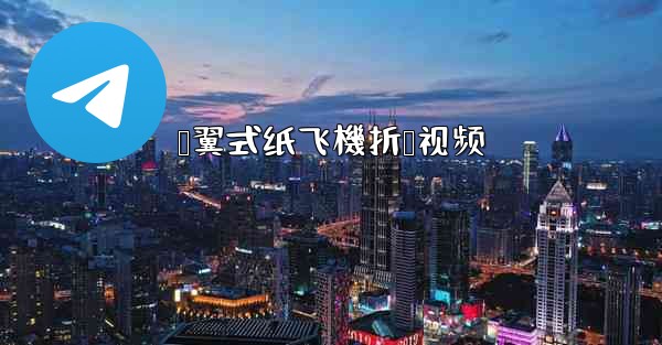 鸭翼式纸飞機折叠视频