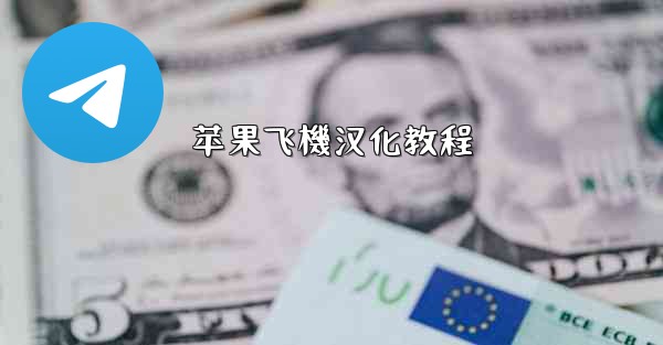 苹果飞機汉化教程