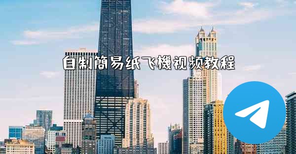 自制簡易纸飞機视频教程