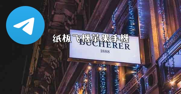 纸板飞機苹果手機