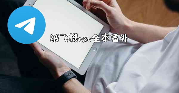 纸飞機txt全本番外