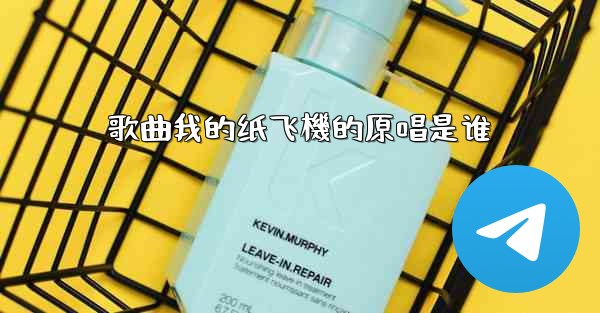 歌曲我的纸飞機的原唱是谁