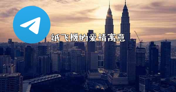 纸飞機的爱情寓意