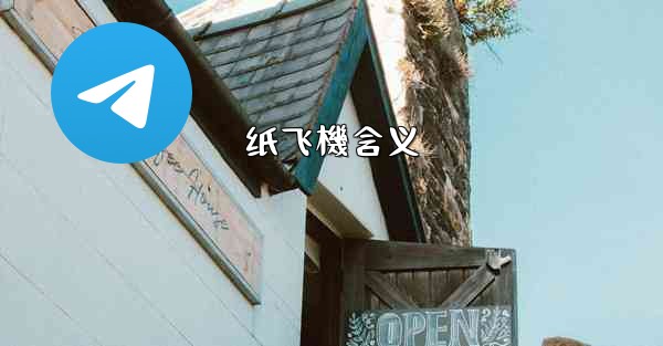 纸飞機含义